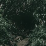 A picture of an entrance to a black cave
