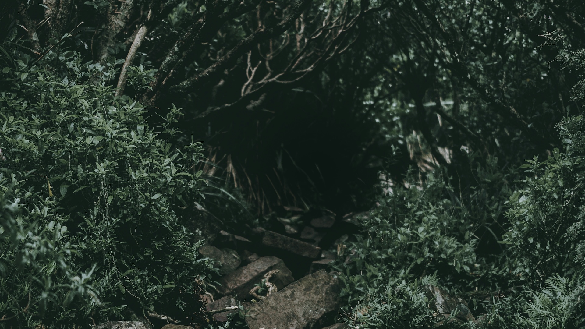 A picture of an entrance to a black cave